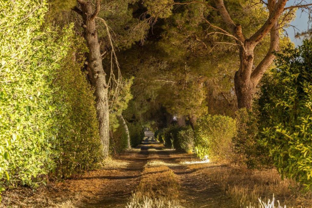 Villa Salento Lecce Exteriér fotografie